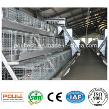 Poul-Tech Automatic Pullet Cage and Incubators for Poultry Farms